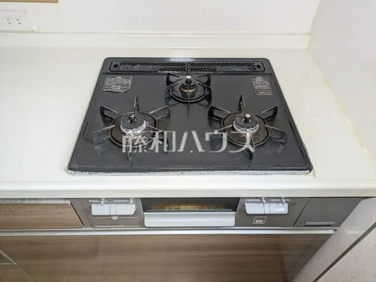 3LDK+WIC, SIC Higashiyamato City Tokyo Property (28)