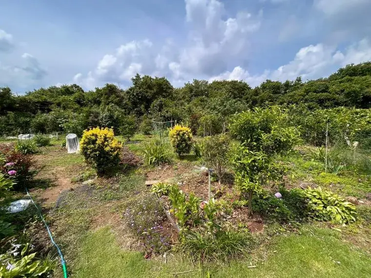 1DK Property Kashima City Ibaraki Prefecture (5)