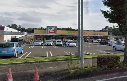 3LDK 仙台市 宮城県 (26)