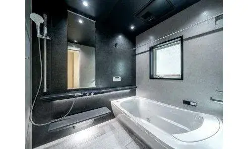 1LDK Minato-ku Tokyo (18)