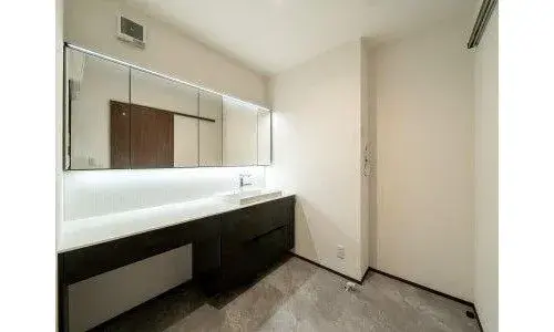 1LDK Minato-ku Tokyo (20)