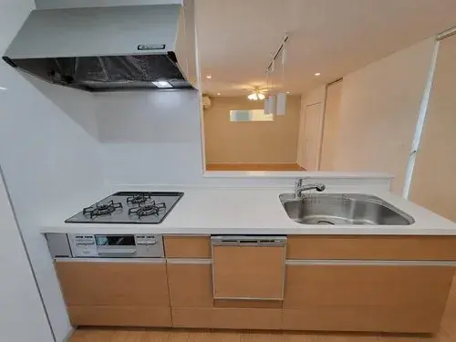4LDK+S 岩仓市 爱知县 (13)
