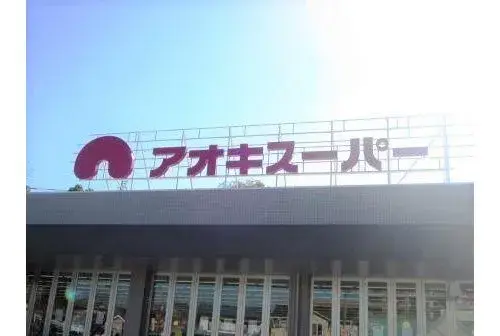 3LDK Property Nisshin City Aichi Prefecture (10)