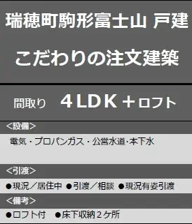 4LDK Property Mizuho-machi Tokyo (10)
