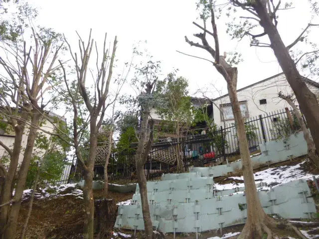 4SLDK Machida City Tokyo (20)
