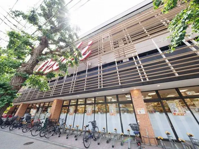 2LDK Property Setagaya Ward Tokyo (20)