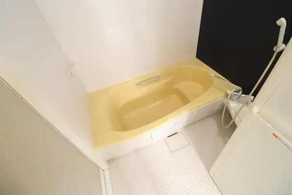 2LDK Property Shizuoka City Shizuoka Prefecture (11)