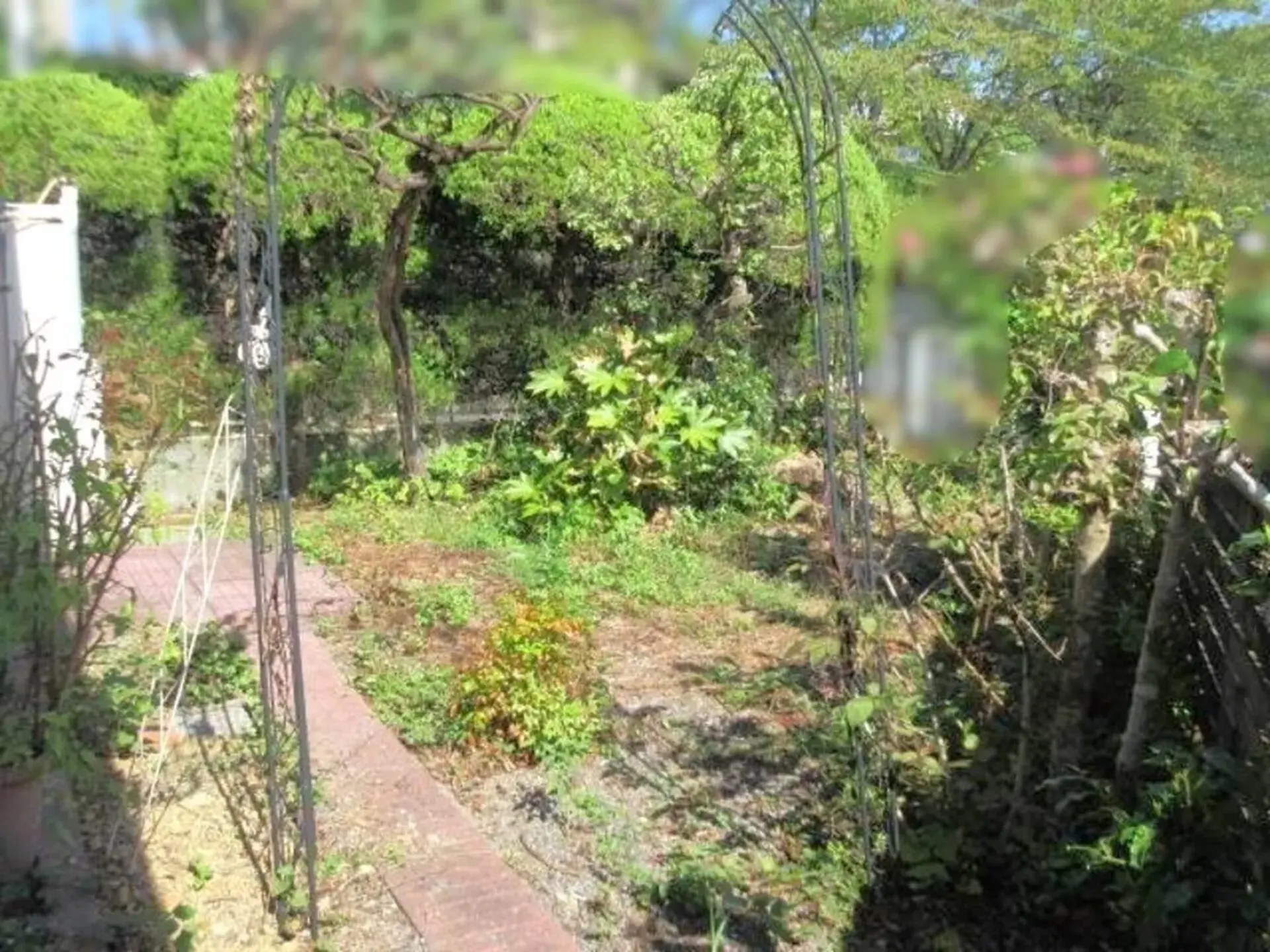 5DK Property Kochi City Kochi Prefecture (15)
