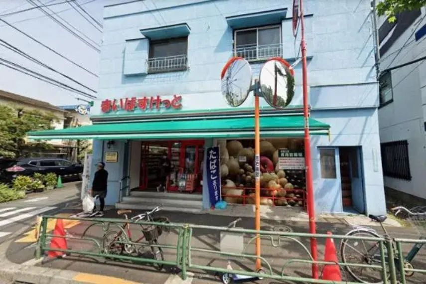 2LDK Property Meguro-ku Tokyo (8)