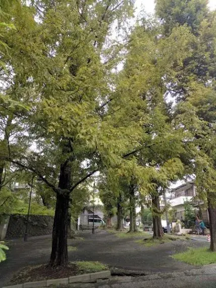 3LDK Property Yokohama City Kanagawa Prefecture (22)