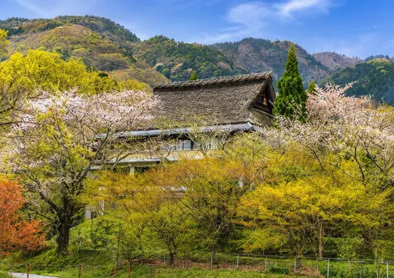 Akiya in Kyoto