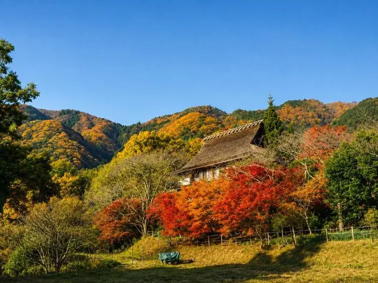 5LDK o más Ciudad de Kioto Distrito de Nishikyo Prefectura de Kioto (4)