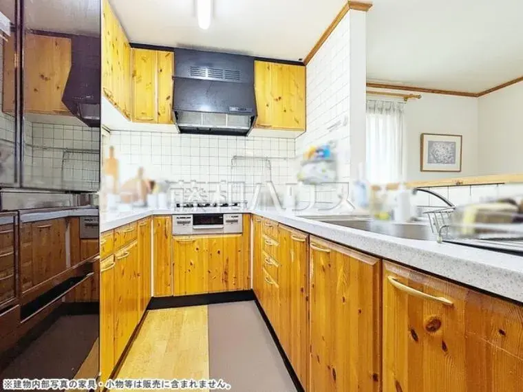 3LDK+WIC+Study Property Nerima Ward Tokyo (22)
