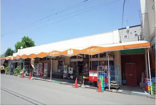 4LDK Sapporo City Hokkaido (19)
