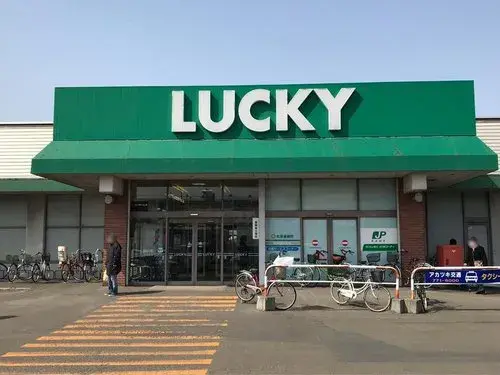 3LDK+S Property Sapporo Hokkaido (15)