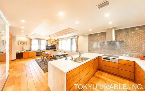 4LDK+S Property Setagaya-ku Tokyo (15)