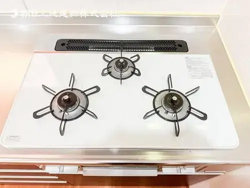 4LDK物件 海老名市 神奈川県 (16)