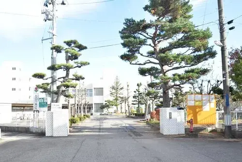 Объект 5К Niigata City Niigata Prefecture (18)