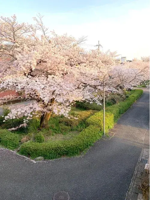 Недвижимость 3LDK Киото, район Sakyo, префектура Kyoto (15)
