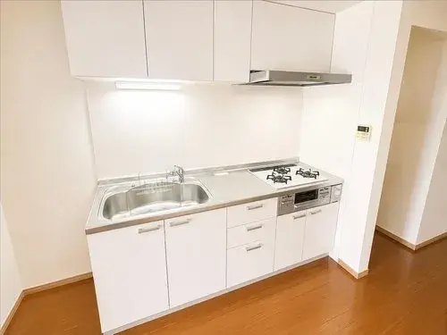3LDK Property Osaka City Osaka Prefecture (9)