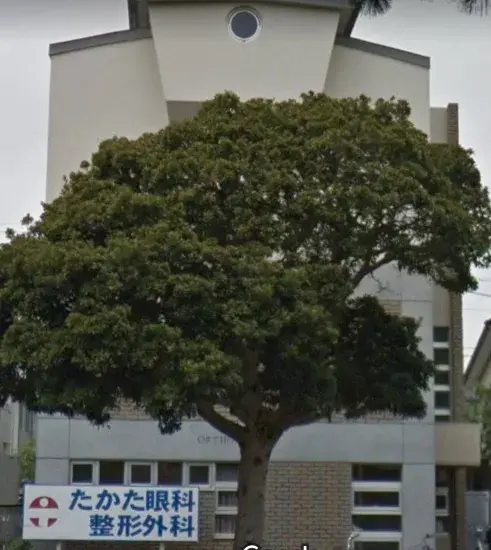2SLDK Ville de Chiba Préfecture de Chiba (25)
