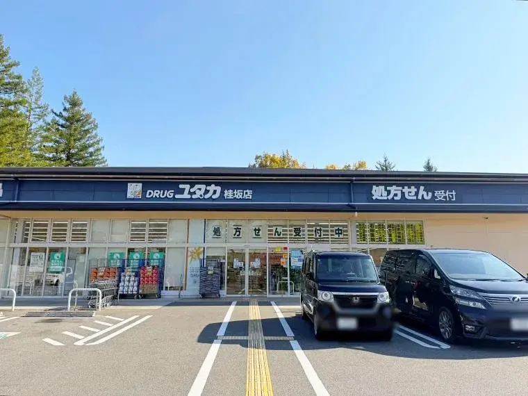 4LDK Property Kyoto City Kyoto Prefecture (35)