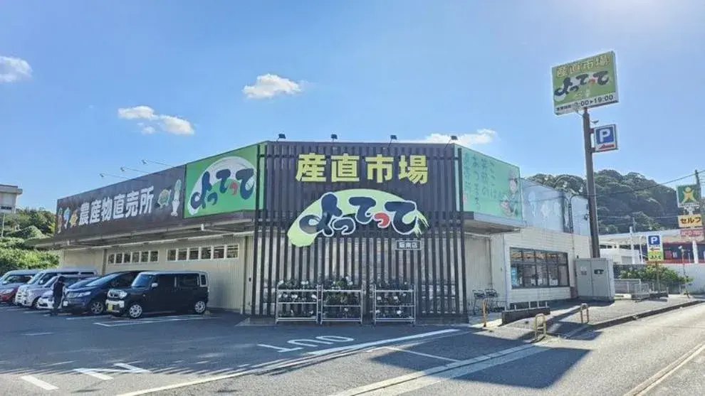 4SLDK Property Hannan City Osaka Prefecture (10)