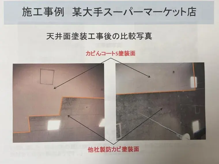 3LDK Property Onna Village Okinawa Prefecture (11)