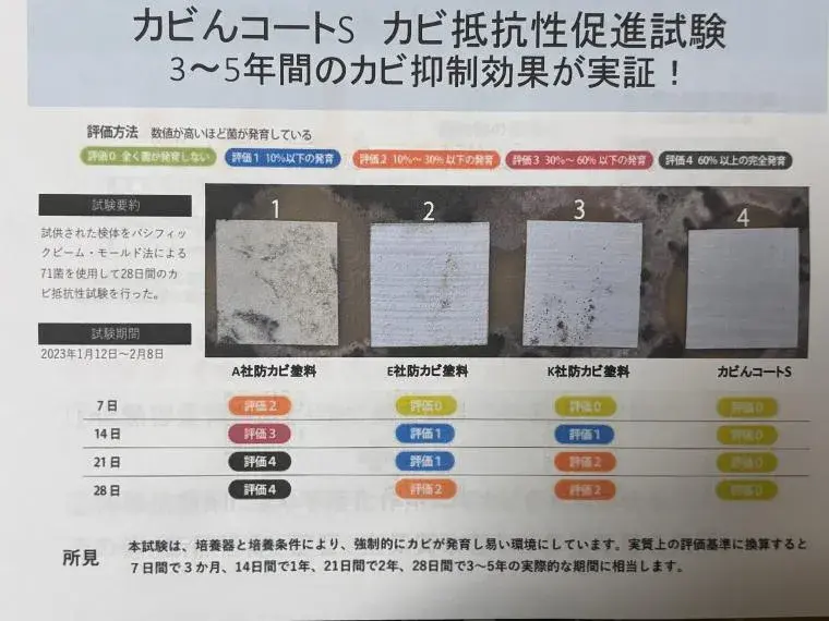 3LDK Property Onna Village Okinawa Prefecture (10)