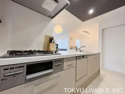 4LDK Property Fujimi City Saitama Prefecture (16)