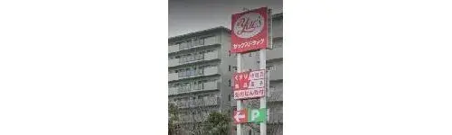 4LDK Property Chiba City Chiba Prefecture (14)