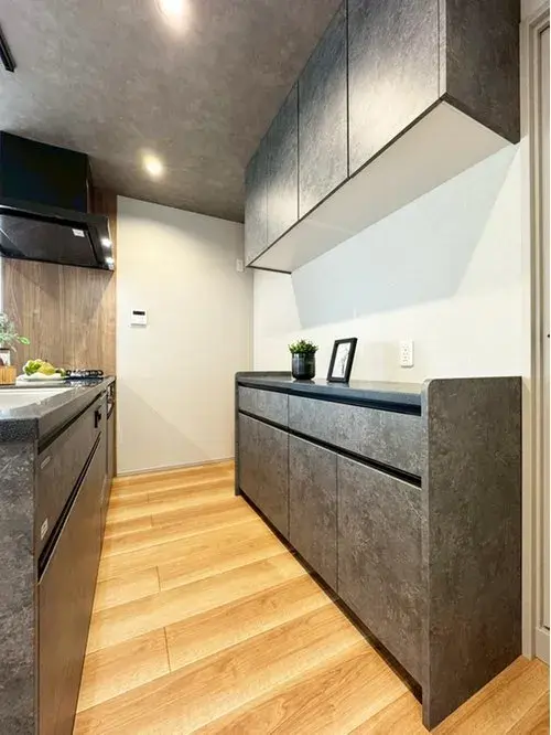 4LDK Property Suginami Ward Tokyo (12)