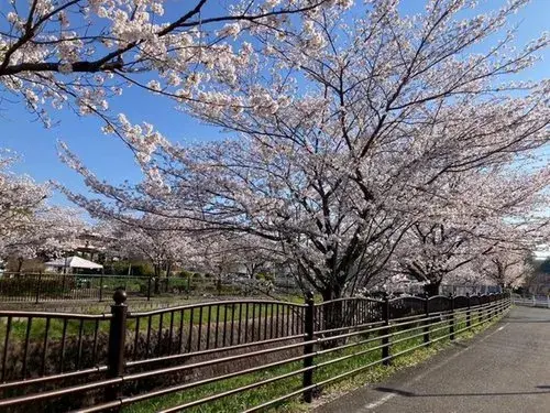 4LDK Property Hachioji City Tokyo Prefecture (12)