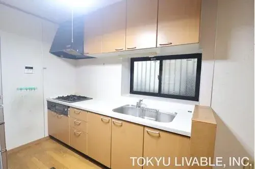 4LDK Adachi-ku Tokyo (16)