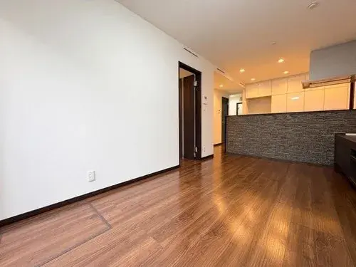 Tokyo Itabashi Ward 3LDK Residence (5)