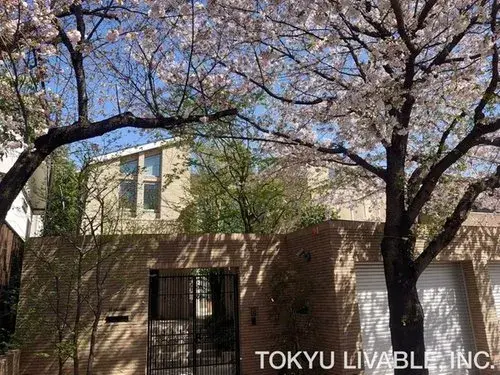 5LDK Setagaya Ward Tokyo (18)