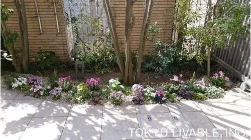 5LDK Setagaya Ward Tokyo (3)