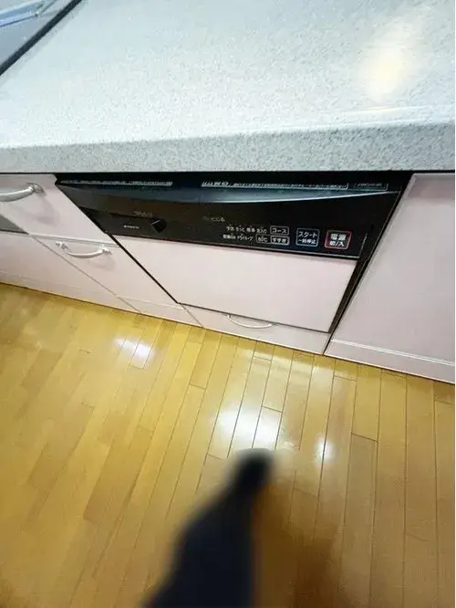 3LDK+S Property Chofu City Tokyo (11)