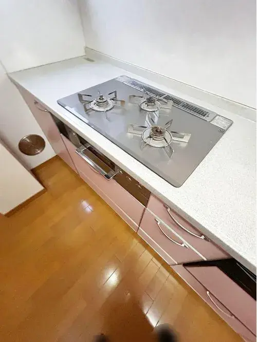 3LDK+S Property Chofu City Tokyo (10)