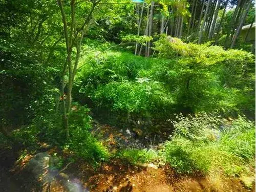 2LDK+S房产 田方郡函南町 静冈县 (14)
