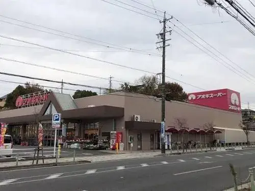 3LDK Property Okazaki City Aichi Prefecture (13)