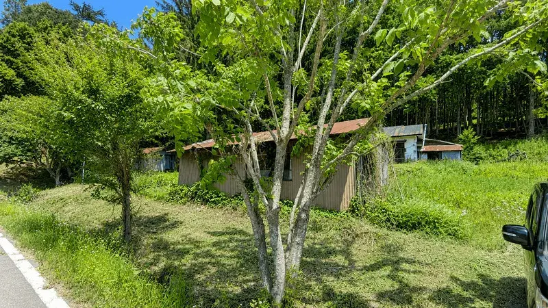 Slide 5