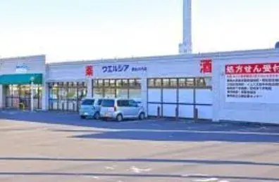 5K Kiryu City Gunma Prefecture (12)