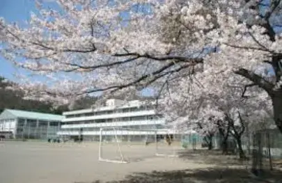 5K Kiryu City Gunma Prefecture (9)