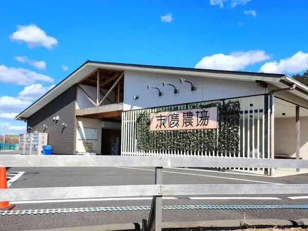 3LDK房产 富里市 千叶县 (26)