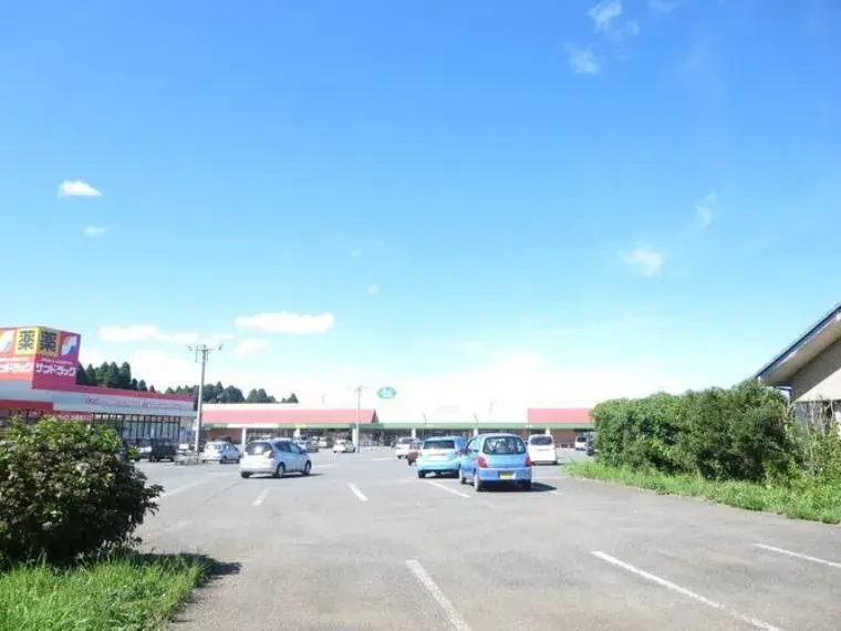 4LDK Sammu-shi Chiba (32)