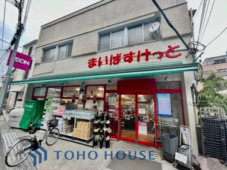 5LDK+ Property Setagaya Ward Tokyo (21)
