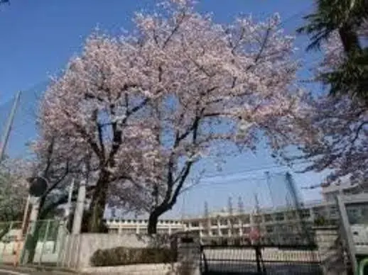 3SLDK Property Nerima Ward Tokyo (8)