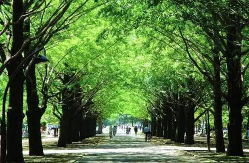 3SLDK Property Nerima Ward Tokyo (9)
