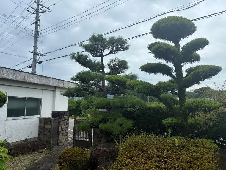 6K Kinokawa City محافظة واكاياما (2)